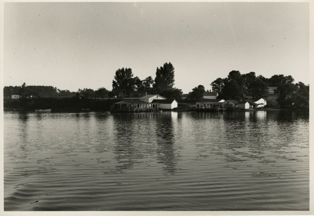 98-054 (click for large image)